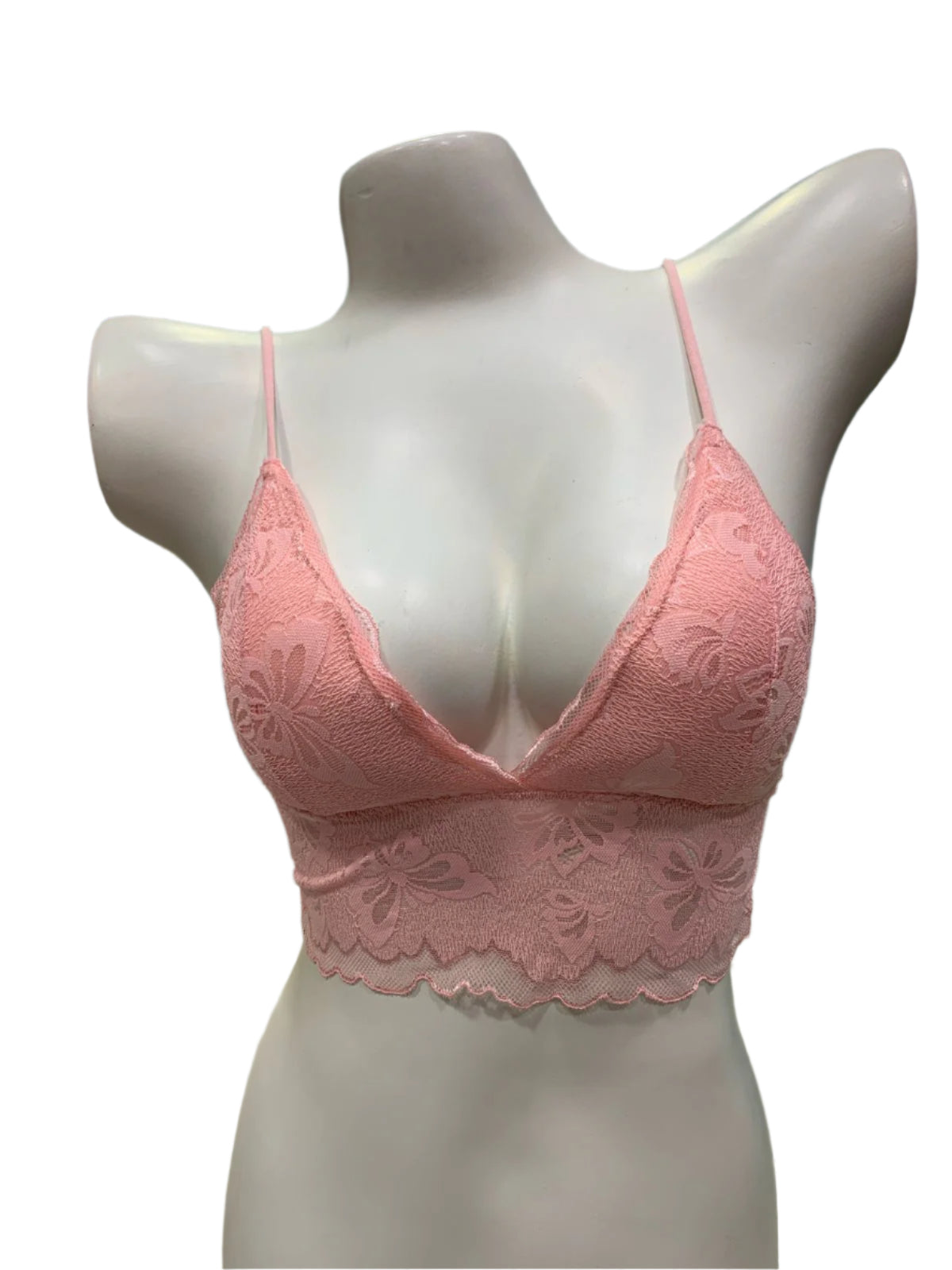 Enchanted Allure Free-Sized Exotic Net Blouse