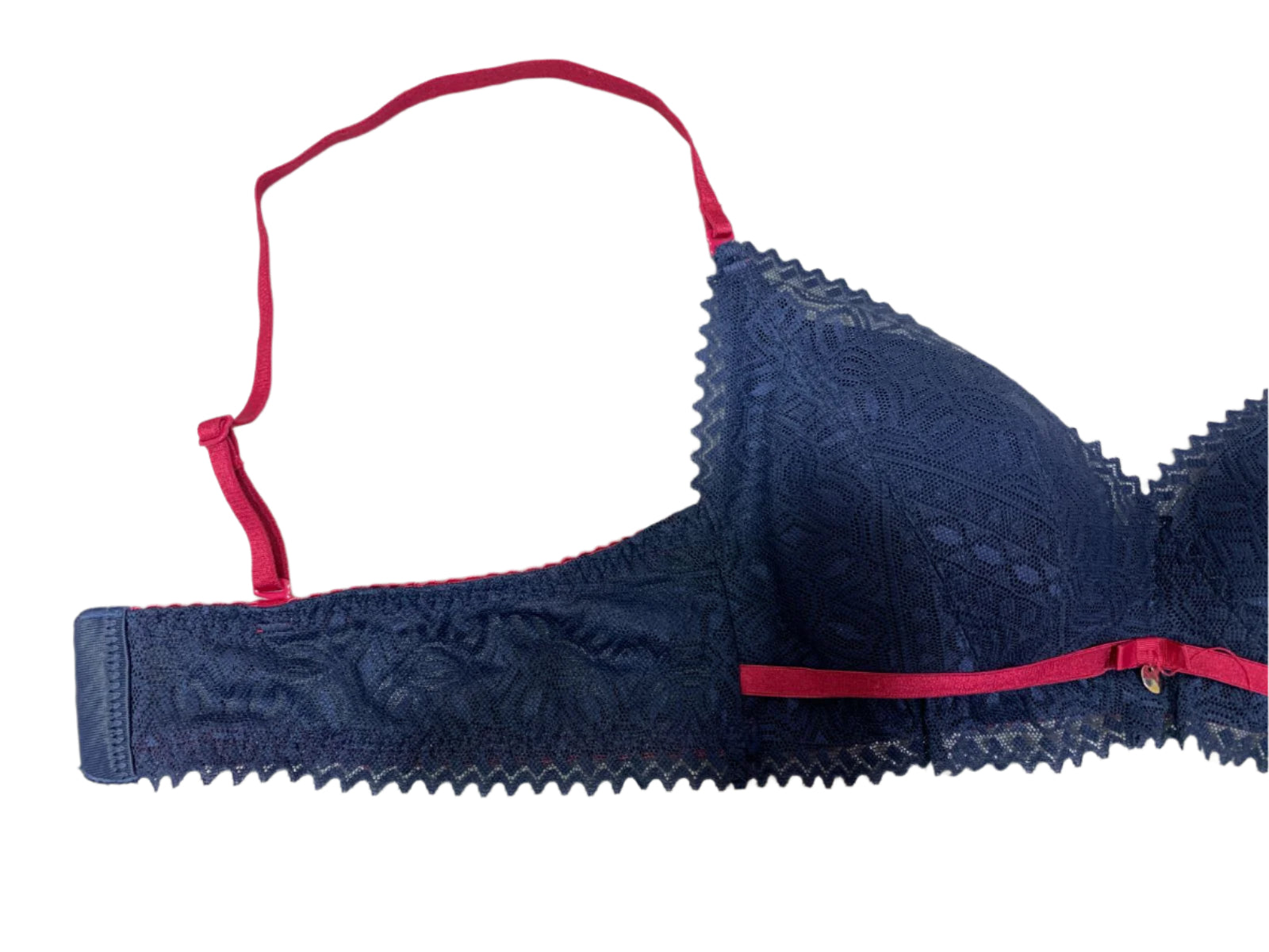 Ethereal Elegance Delicate Net Bra