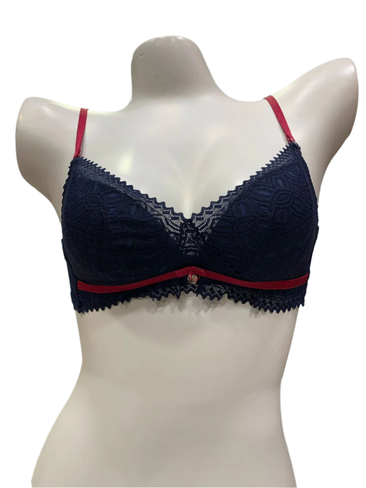 Ethereal Elegance Delicate Net Bra