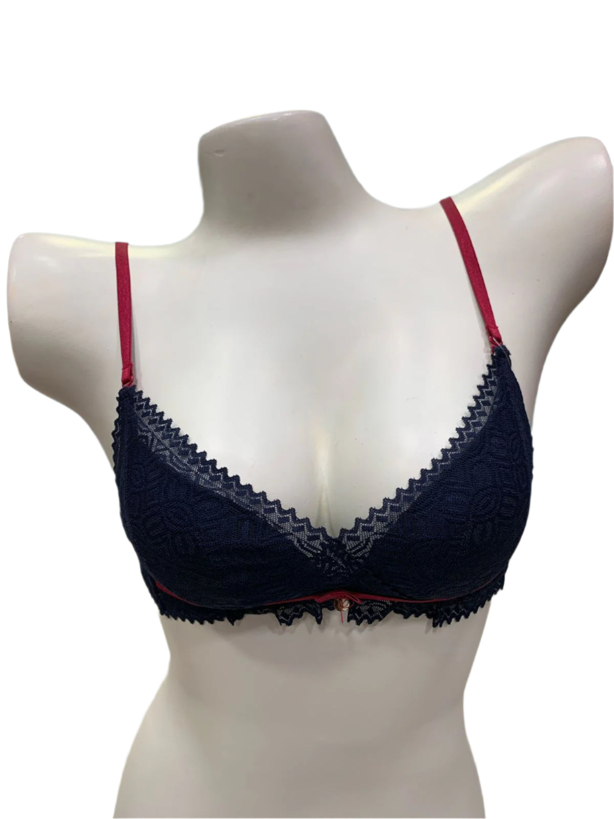 Ethereal Elegance Delicate Net Bra
