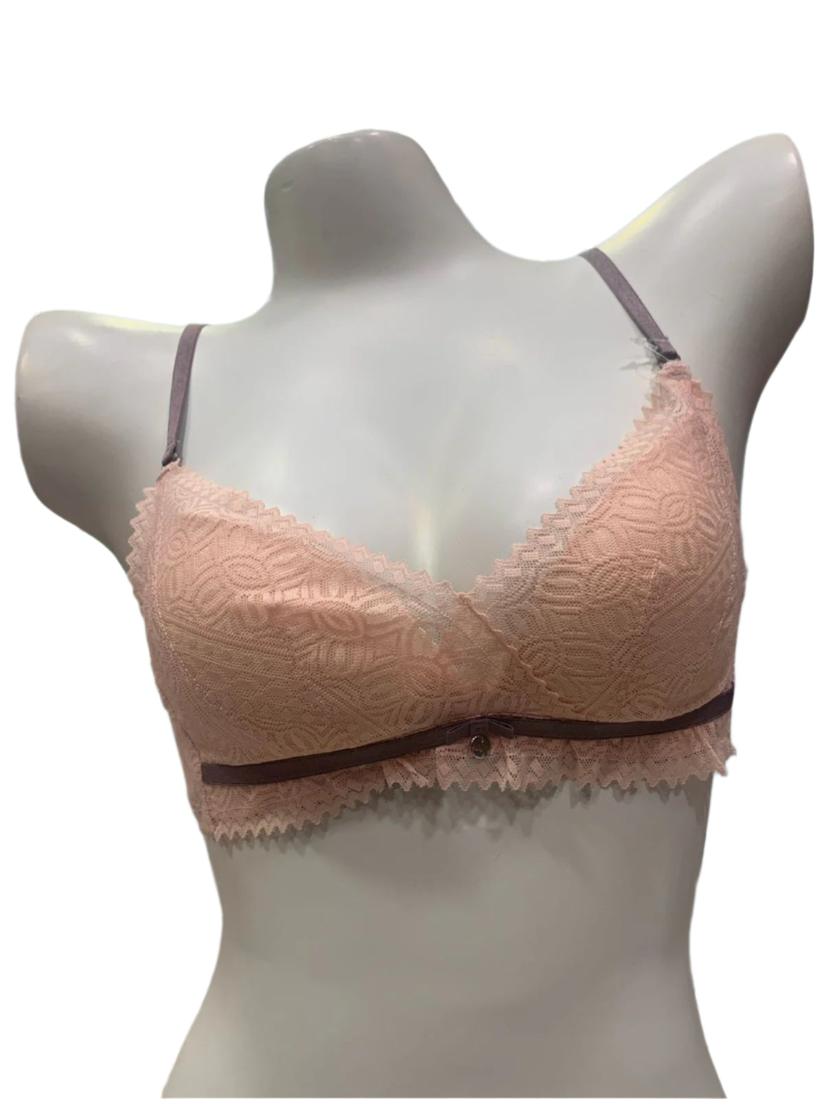 Ethereal Elegance Delicate Net Bra