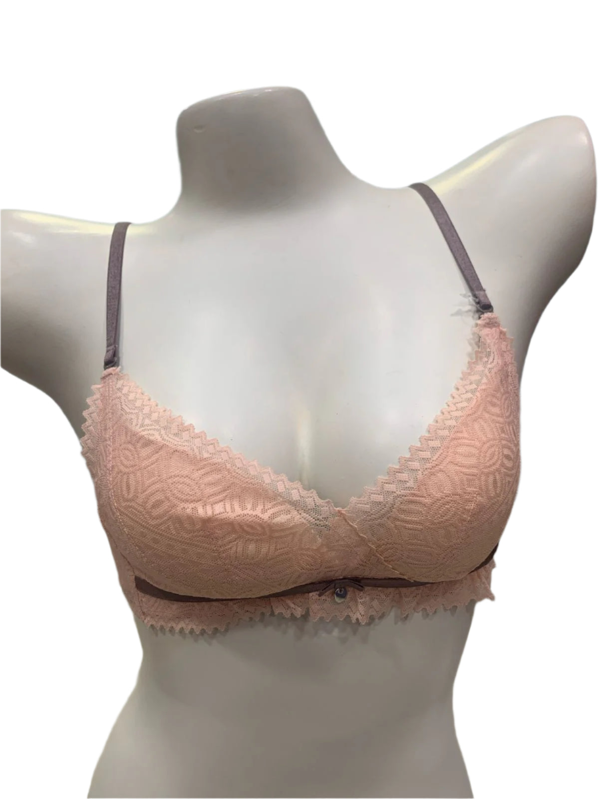Ethereal Elegance Delicate Net Bra