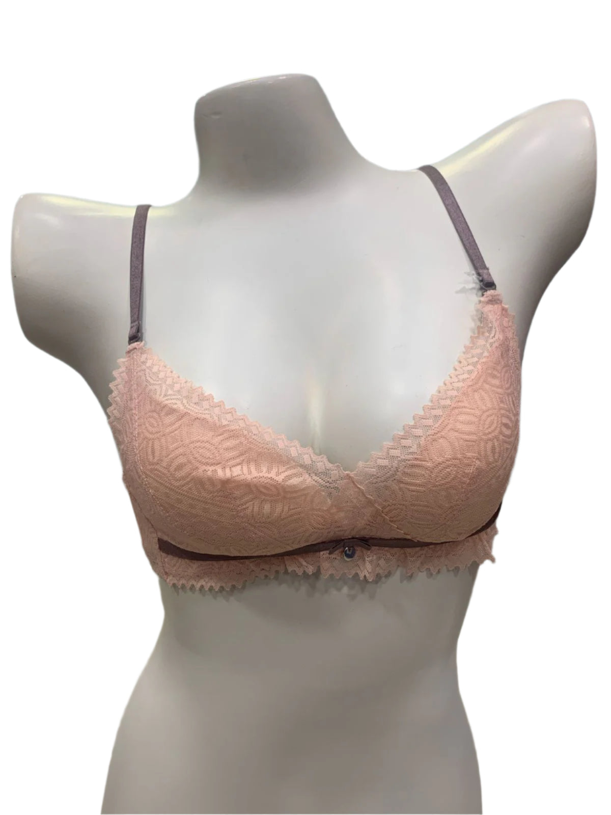Ethereal Elegance Delicate Net Bra
