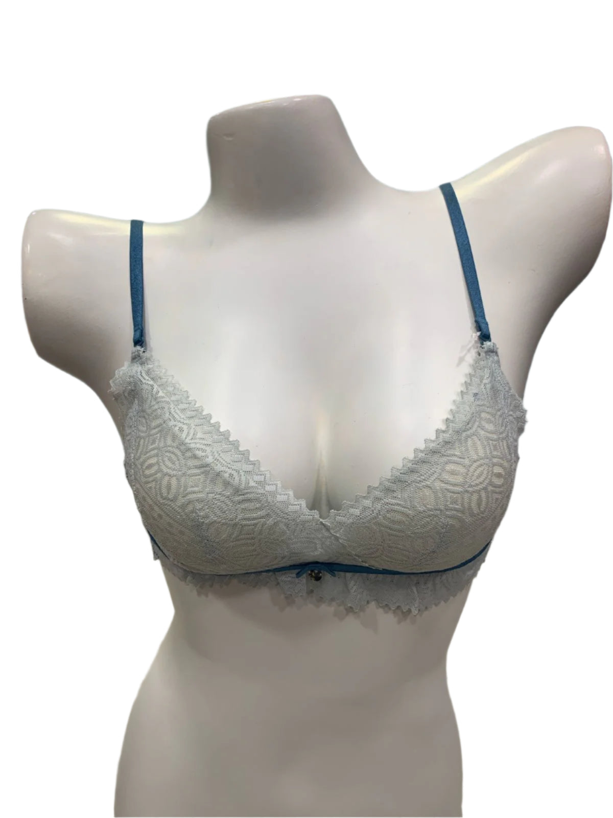 Ethereal Elegance Delicate Net Bra