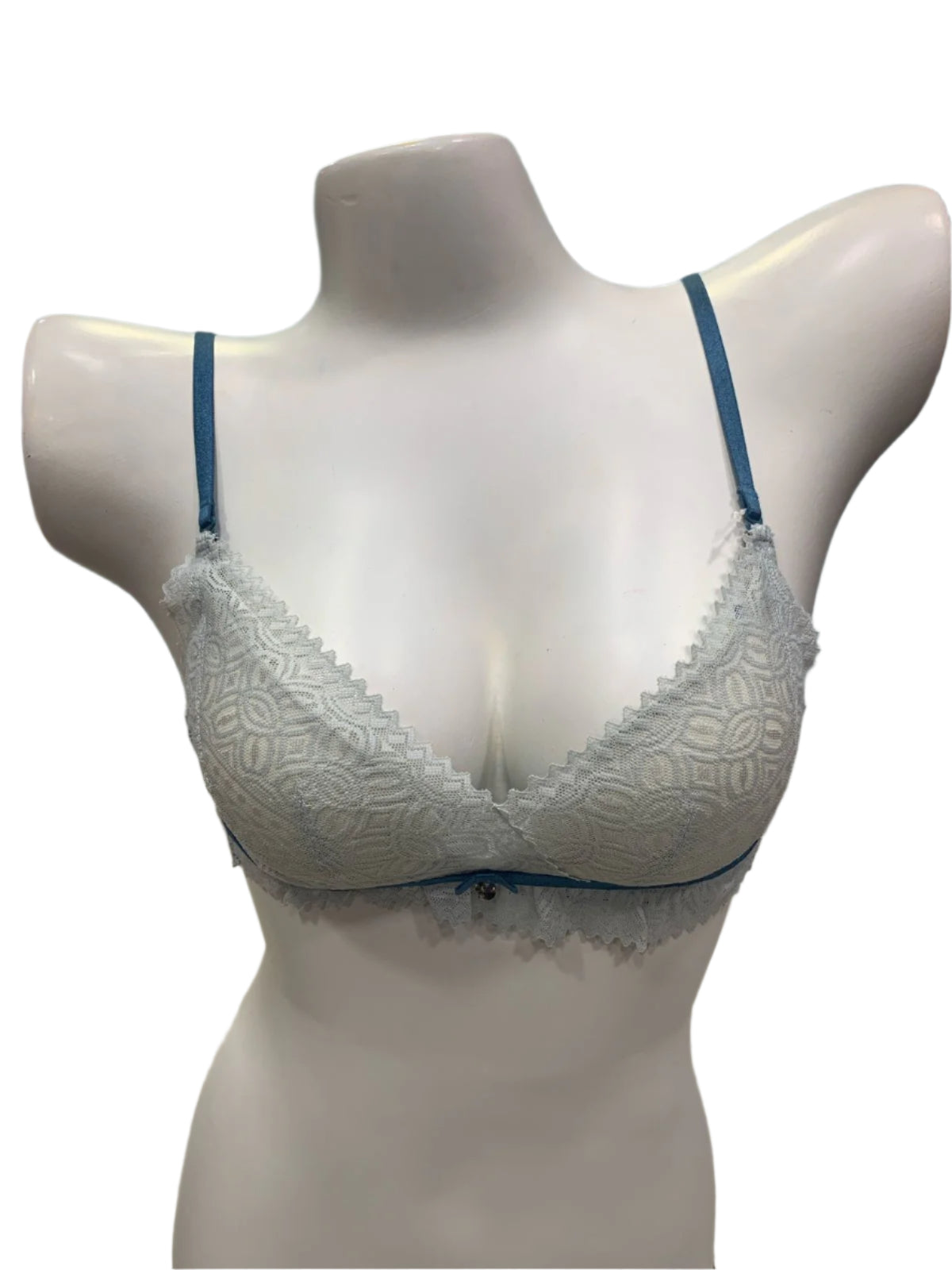 Ethereal Elegance Delicate Net Bra