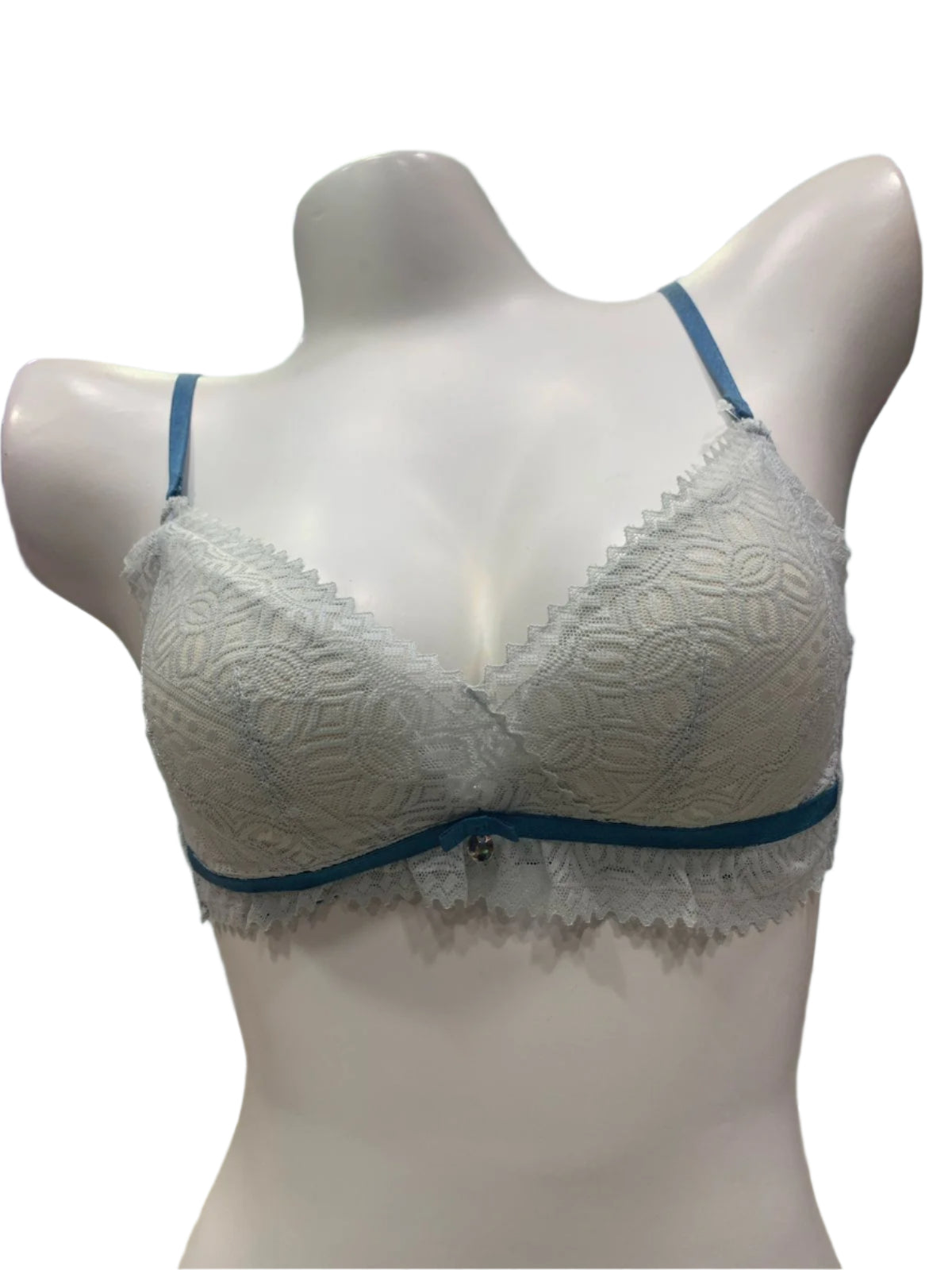 Ethereal Elegance Delicate Net Bra