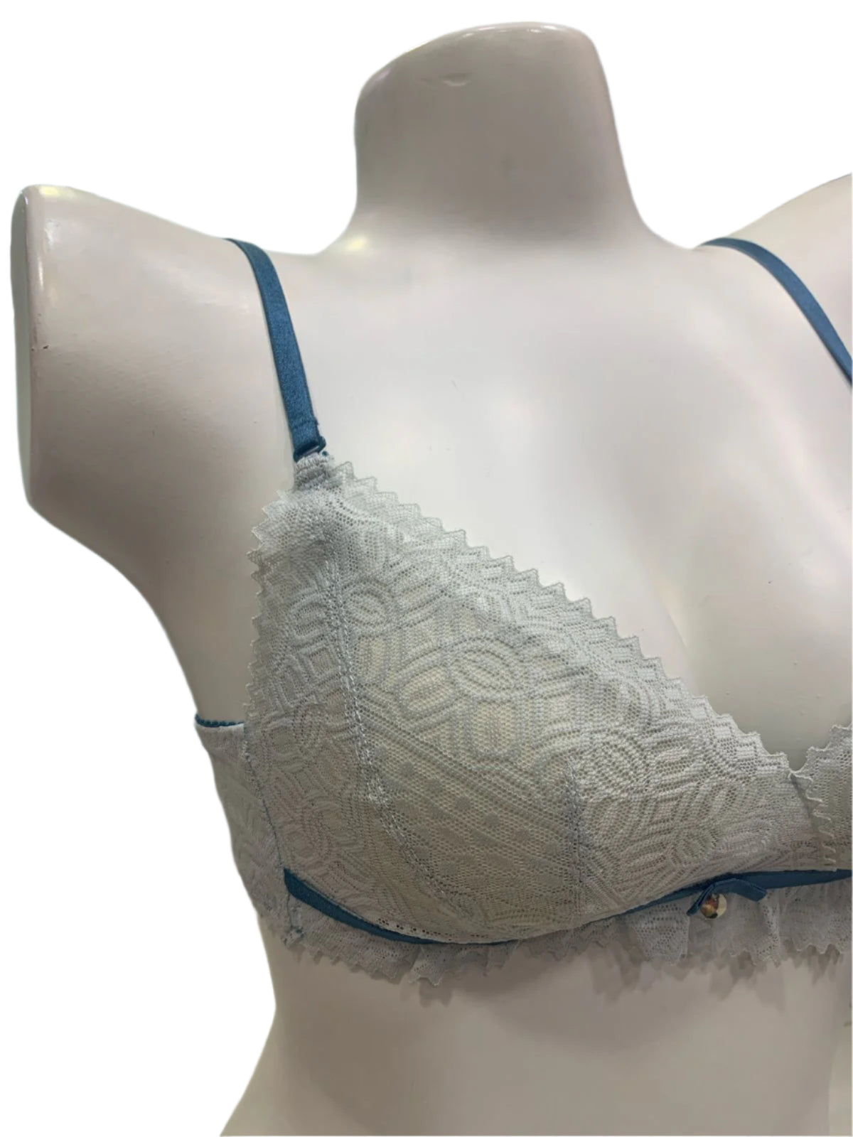 Ethereal Elegance Delicate Net Bra